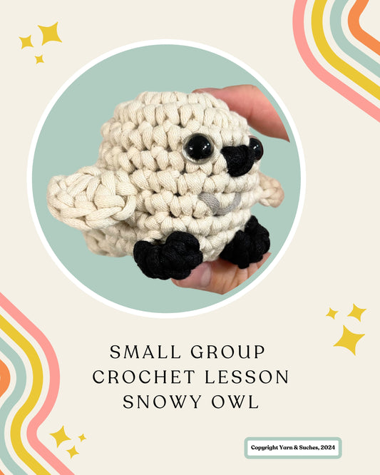 Small Group Crochet Lesson Snowy Owl