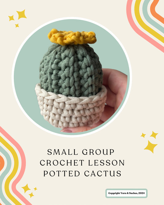 Small Group Crochet Lesson Potted Cactus