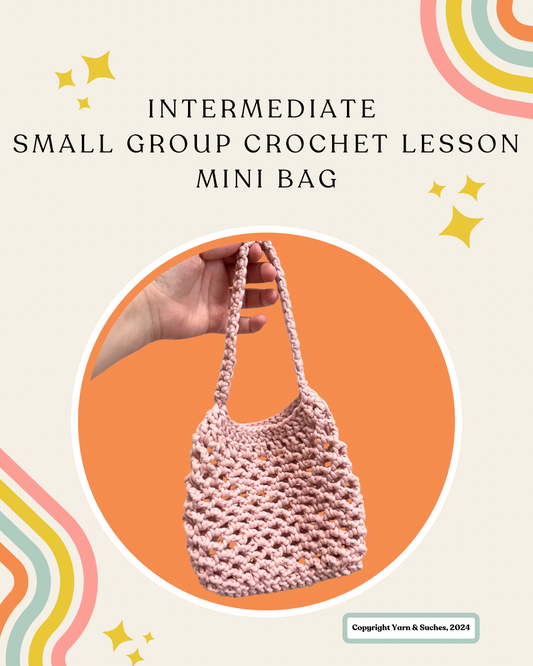 Intermediate Small Group Crochet Lesson Mini Bag